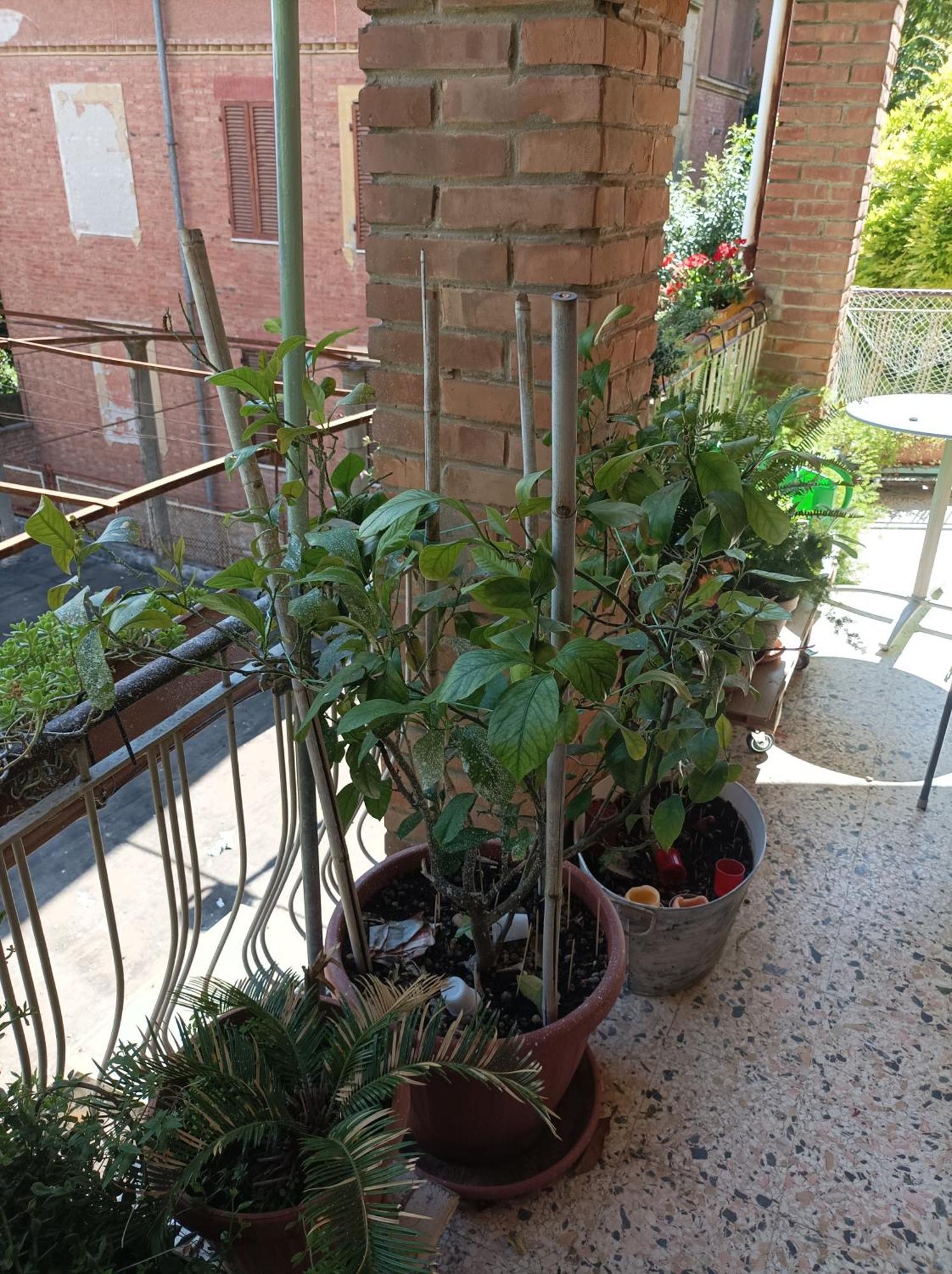 Apartament Boh & Boh A Casa Di Luca And His Cats Perugia Zewnętrze zdjęcie